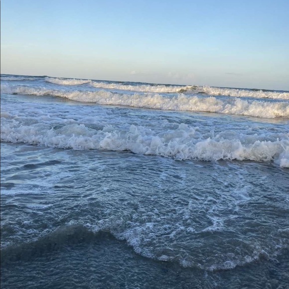 Meet your Posher, Dylan - Picture 1 of 1